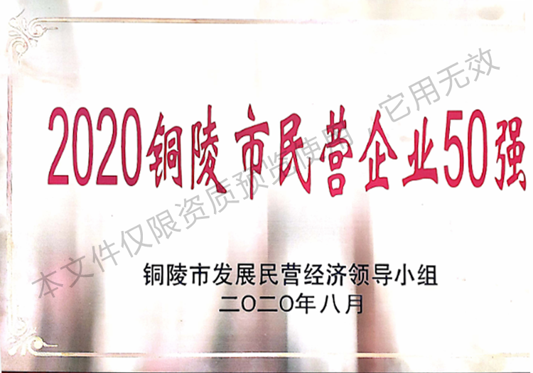 2020銅陵市民營(yíng)企業(yè)50強(qiáng)