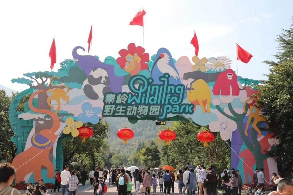 10391356_4504465e-1b52-44d1-85ba-f584b9b1b226copy.jpg 10391356_4504465e-1b52-44d1-85ba-f584b9b1b226copy.jpg