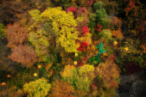 1697001661556269.png 1697001661556269.png