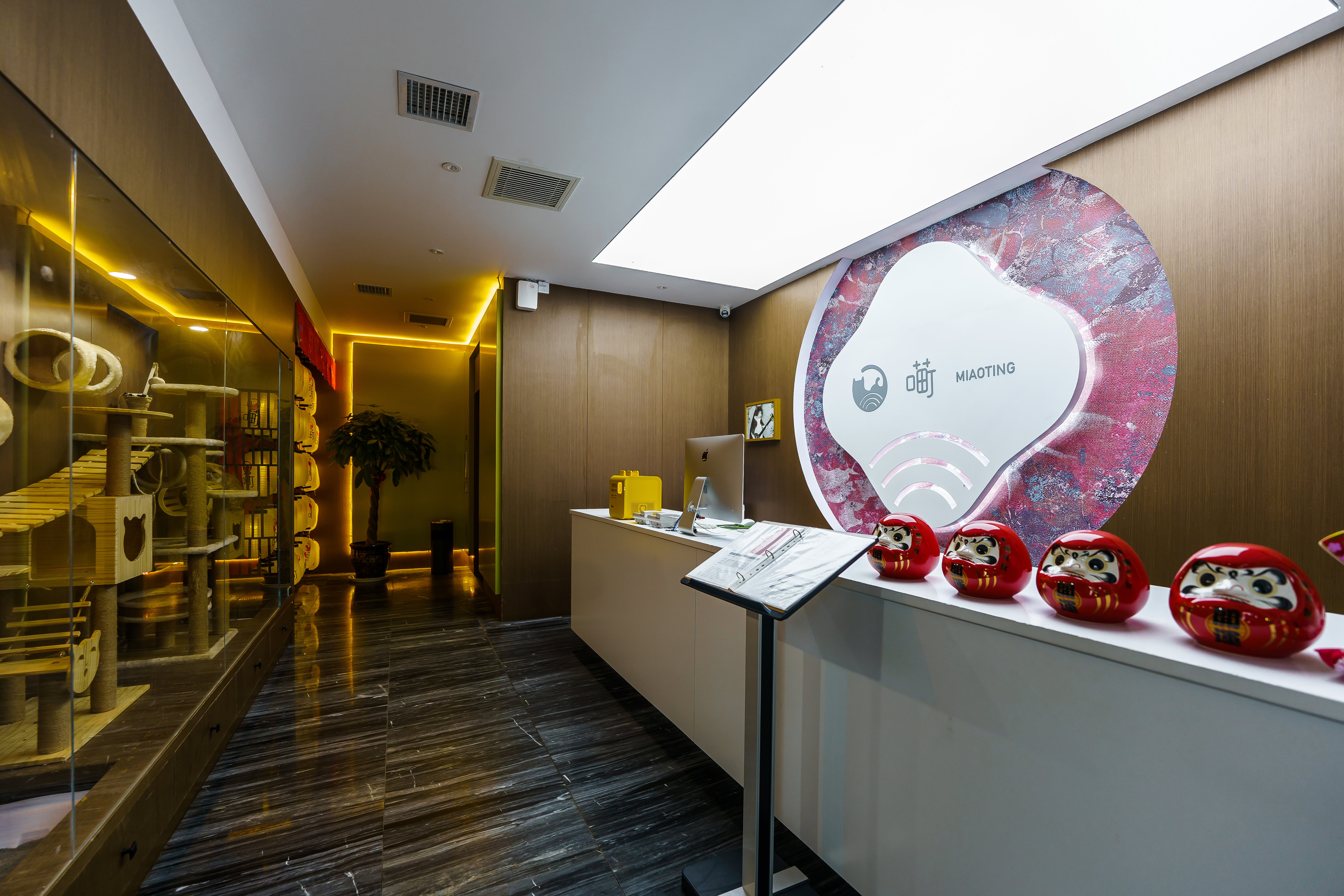 ASeSZOtm5QbLwIJL.jpeg ASeSZOtm5QbLwIJL.jpeg