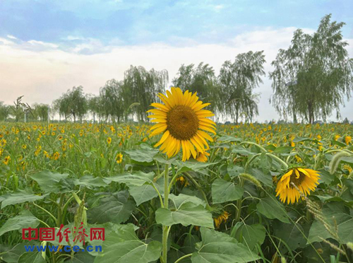 W020220811520517192552.jpg W020220811520517192552.jpg