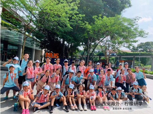 lcq01i5PbGlMeOHj.png image.png