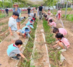 9x9LtQcx02rZiUaT.png image.png