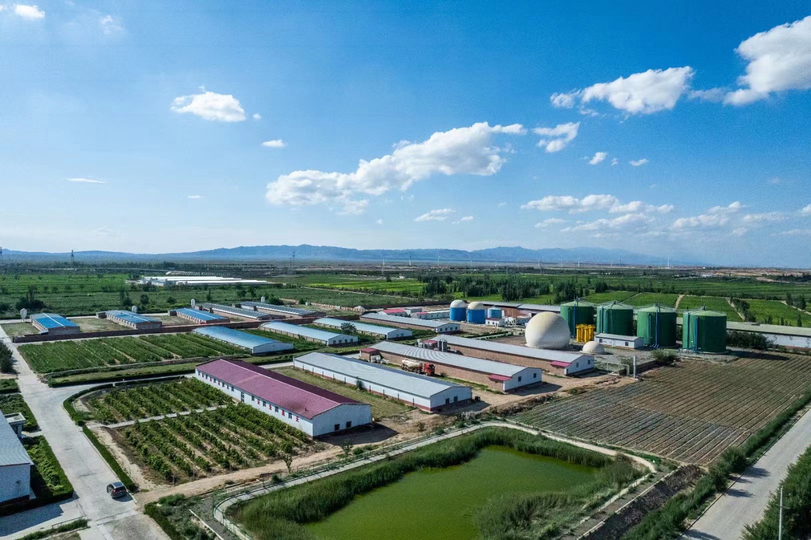 tpfRxSmpIycbK3KY.jpg tpfRxSmpIycbK3KY.jpg