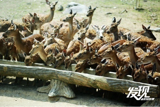 1716350097160516.png?x-oss-process=style/w10 image.png?x-oss-process=style/w10