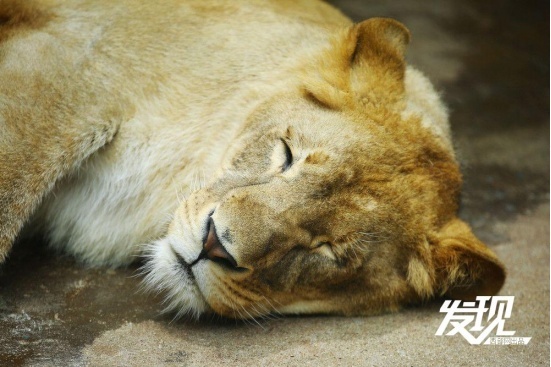 1716350131951718.png?x-oss-process=style/w10 image.png?x-oss-process=style/w10